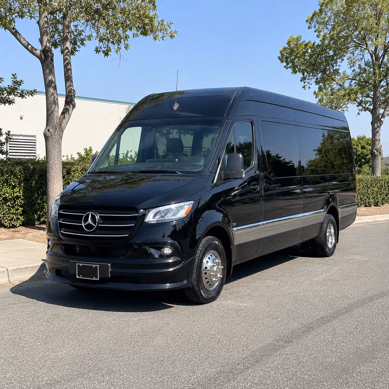 Dunwoody Wedding Transportation & Shuttle Service