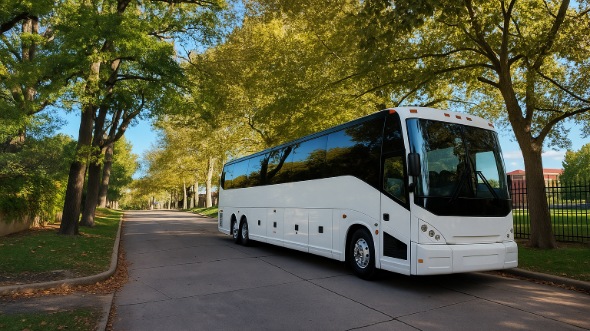 johns creek bachelor and bachelorette party bus rentals