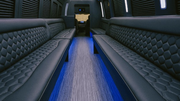 sandy springs 20 passenger party bus interior